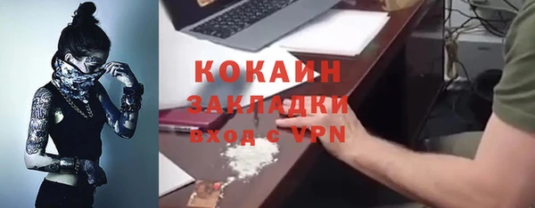 стаф Аркадак